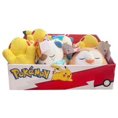 Pokemon Plush Sleeping