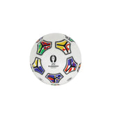 Mondo Bioball Classic Euro2024 23cm