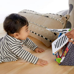 Baby Einstein Flip For Art Activity Toys for Baby