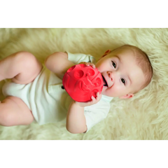 Clementoni Baby Animal Sensory Balls