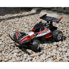 Nikko RC Turbo Panther X2 2Asst