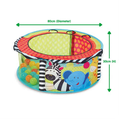 ELC Development Wall Sensory Ballpit & Balls