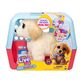 Little Live Pets Ouchies 1 Pack Cooper Battery Operated