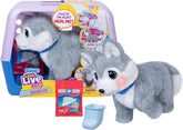 Little Live Pets Ouchies Deluxe Single Pack Aspen (Husky) Battery Operated