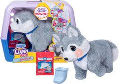 Little Live Pets Ouchies Deluxe Single Pack Aspen (Husky) Battery Operated