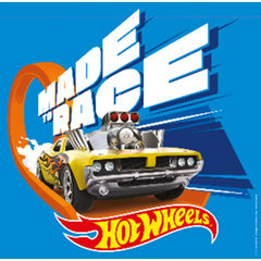 Hot Wheels Reusable Deluxe Bags