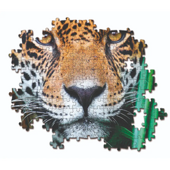 Clementoni Puzzle High Quality Collection Jaguar in the Jungle 500-pieces