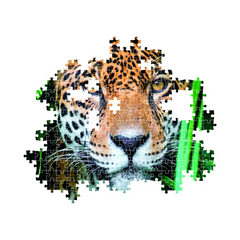 Clementoni Puzzle High Quality Collection Jaguar in the Jungle with Poster 500-pieces