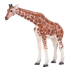 Mojo Animal Giraffe Female