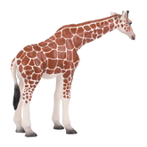 Mojo Animal Giraffe Female