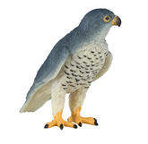 Mojo Animal Peregrine Falcon