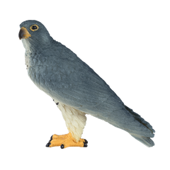 Mojo Animal Peregrine Falcon