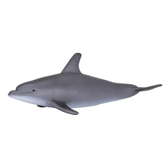 Mojo Animal Bottlenose Dolphin