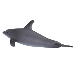 Mojo Animal Bottlenose Dolphin