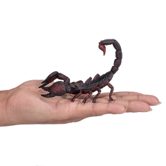 Mojo Animal Emperor Scorpion