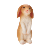 Mojo Animal Rabbit Sitting