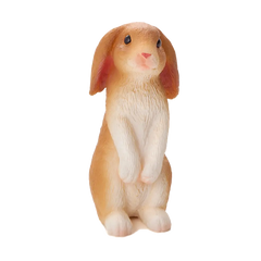 Mojo Animal Rabbit Sitting