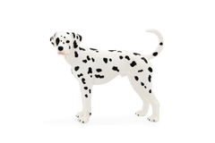 Mojo Animal Dalmatian