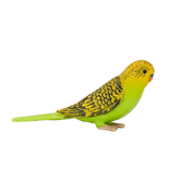 Mojo Animal Budgerigar Green