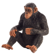 Mojo Animal Chimpanzee