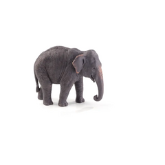 Mojo Animal Asian Elephant