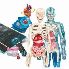 Clementoni Anatomy (French)