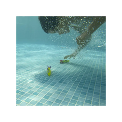 Swimways Toypedo Bandits