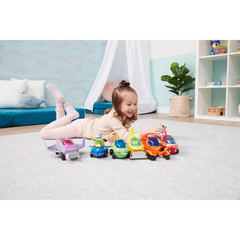 Pawpatrol Mini Figure 2Inch CDU24 WOC