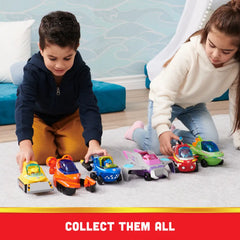 Paw Patrol Mini Figure 2 Inch Assortment