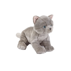 Natgeo Plush Premium British Kitten 10 Inch