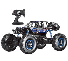 Kidzpro RC Raptor 1/8 2.4G BPC Assortment