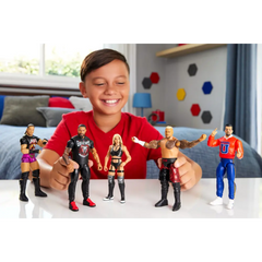 Wwe Basic Action Figure Assorted