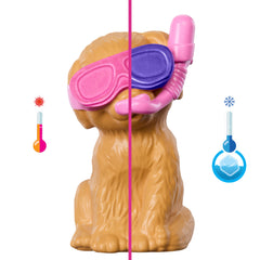 Barbie Puppy Pool Party Playset