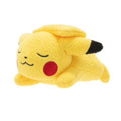 Pokemon Plush Sleeping