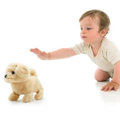 Pugs At Play Walking Goldie 6.5 Inch Battery Operated