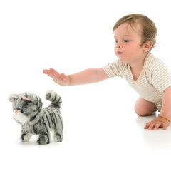 Pugs At Play Walking Zoe 6.5 Inch Battery Operated