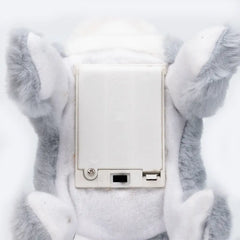 Pugs At Play Flipping Archie Battery Operated