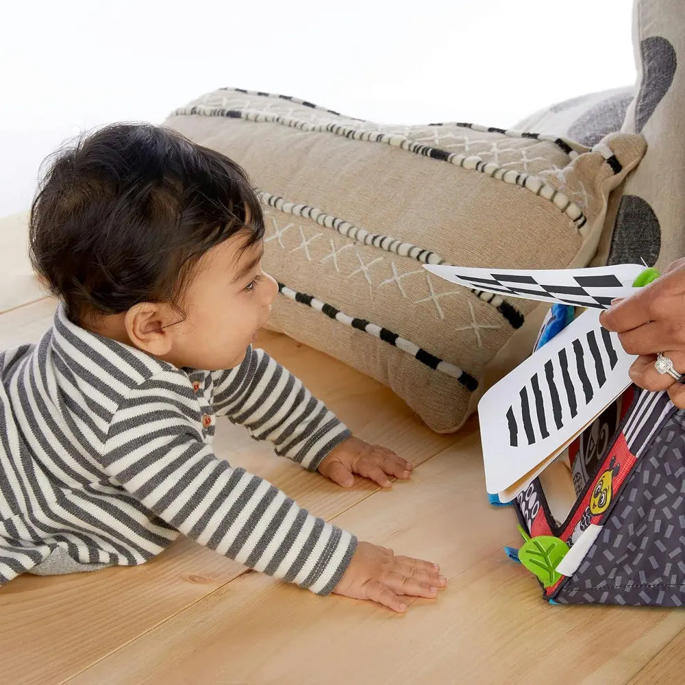 Baby Einstein Flip For Art Activity Toys for Baby