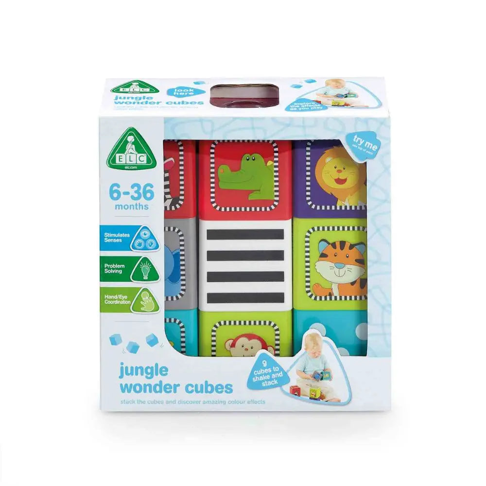 Early Learning Centre Jungle Wonder Cube