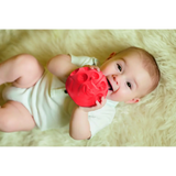 Clementoni Baby Animal Sensory Balls
