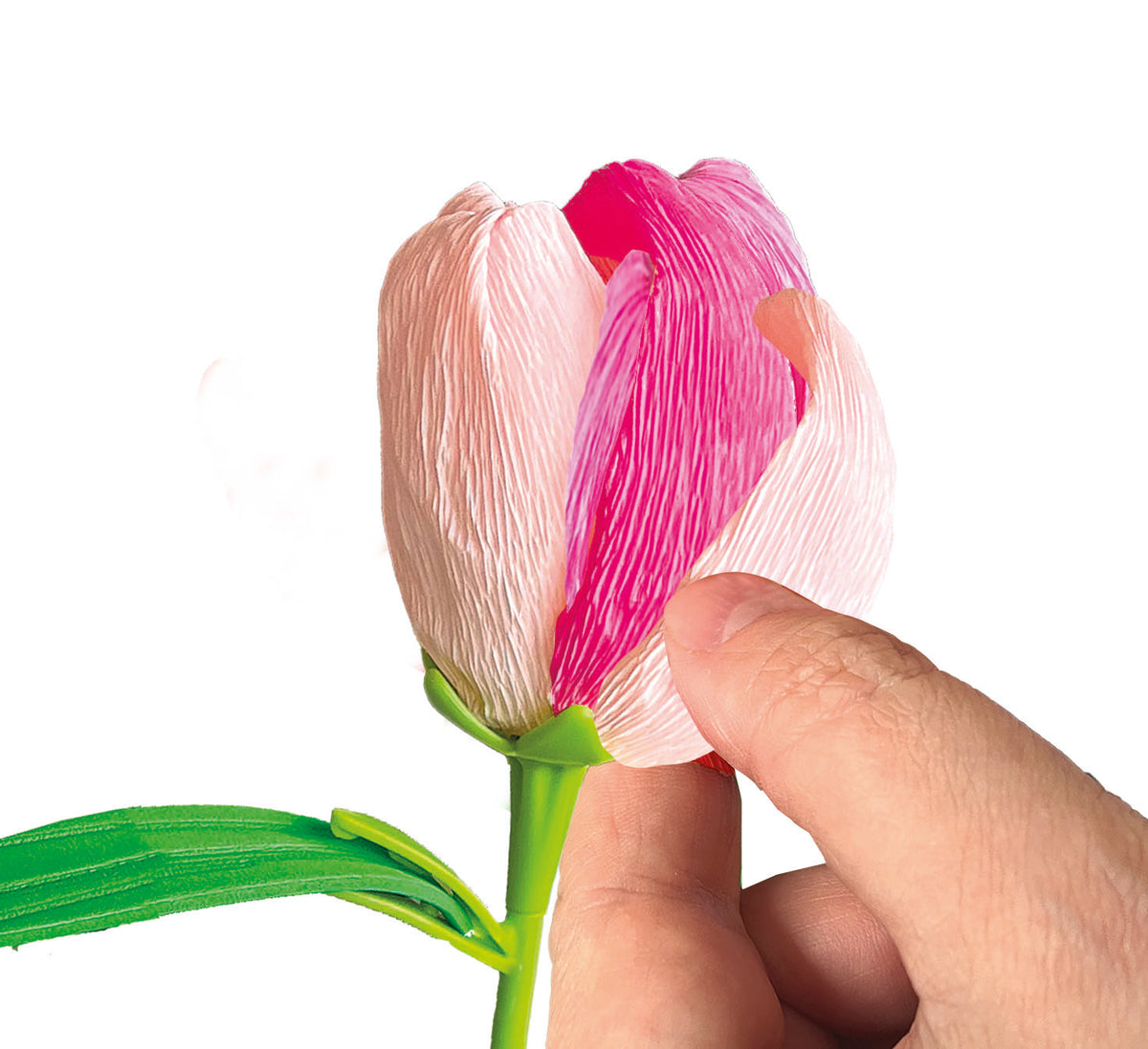 Clementoni Idea Tulipano Small Flowers Creative DIY Flower Kit