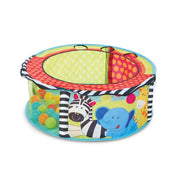 Early Learning Centre Sensory Ballpit & Balls