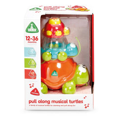 ELC Development Wall Pull Along Musical Turtle