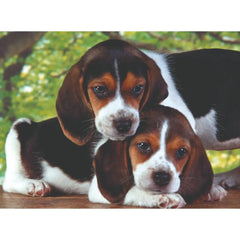 Clementoni Puzzle High Quality Collection Close Together Dog