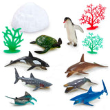 Awesome Animals Discover the Ocean Life Tub