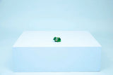 Lego Creator Turtle with Water Lily Flower Nature Themed Building Set