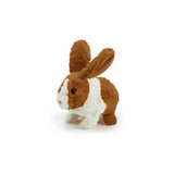 Pitter Patter Happy Hoppy Bunny
