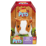 Pitter Patter Lively Little Guinea Pig