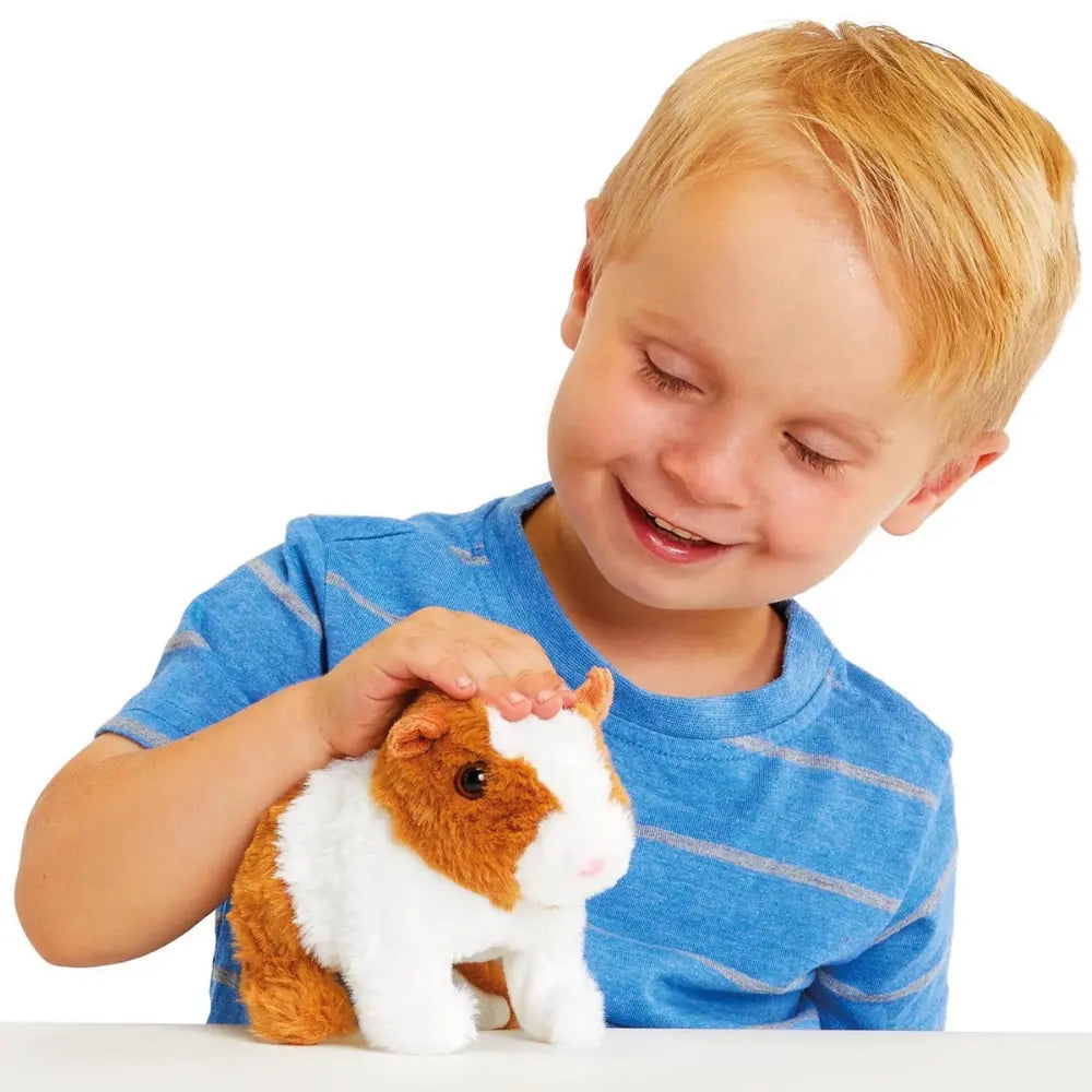Pitter Patter Lively Little Guinea Pig
