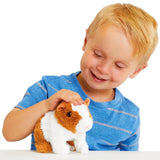 Pitter Patter Lively Little Guinea Pig